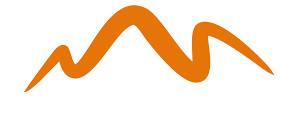 STEC logo